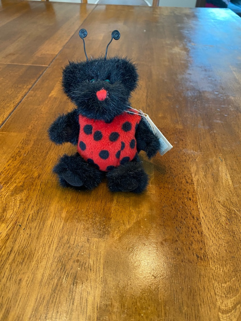Boyd’s Bears retired Iddy Biddy Lady Bug Style#562201